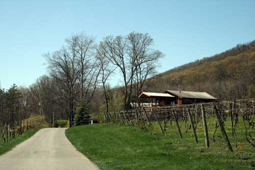 mount nittany winery