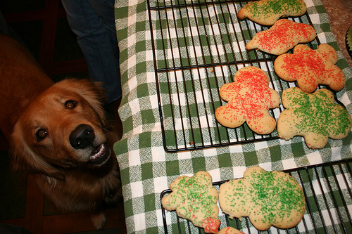 sugar cookies