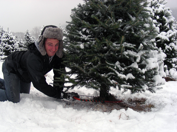 christmas tree chopping