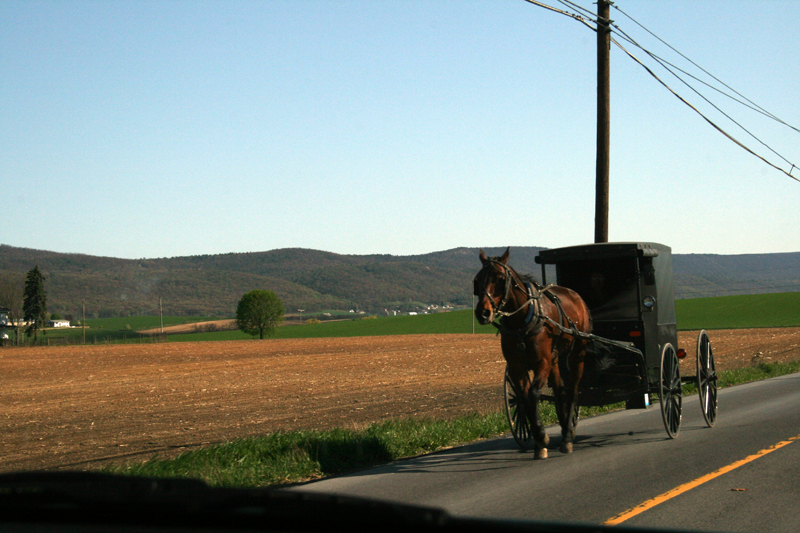 amish