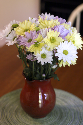 daisies