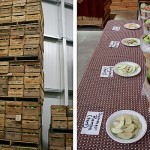 way fruit farm apples