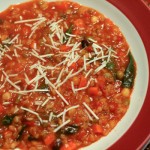 vegsoup3