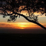 sunset3