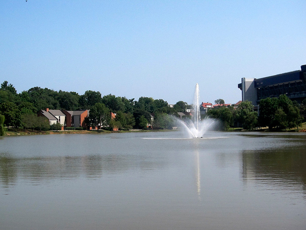 james madison university