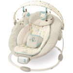 bouncy-seat