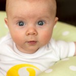 IMG_0413e-web IMG_0413e-web