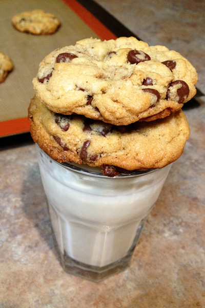 best chocolate chip cookies nytimes